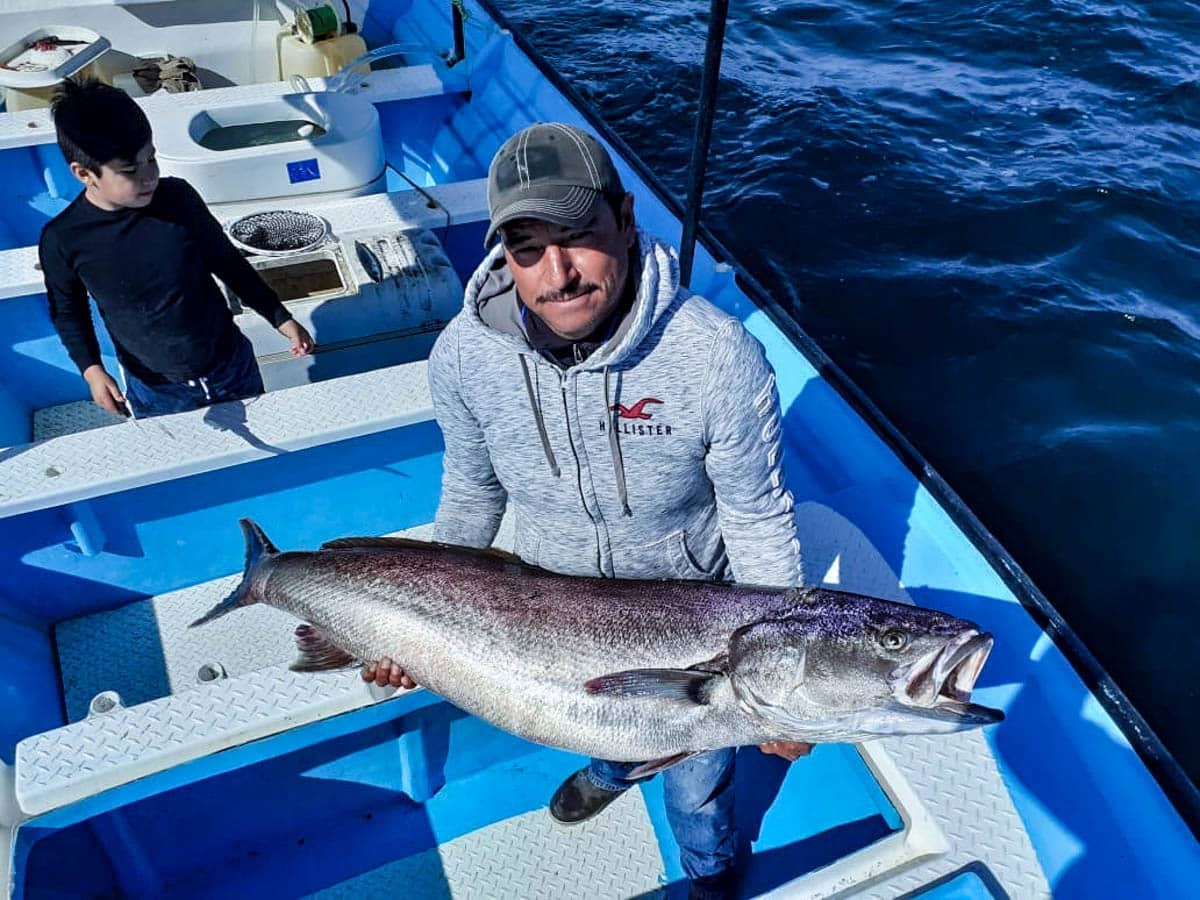 MagBay Lodge Covid 19 / Sport Fishing Update Mag Bay Sport Fishing Lodge