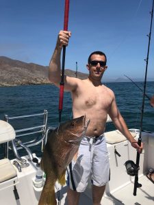 Grouper in Mag Bay