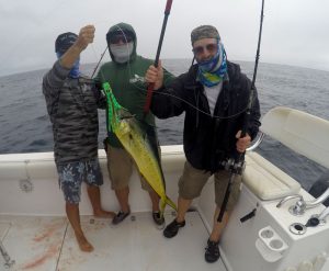 Dorado on Lummee Lure in Mag Bay