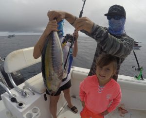 Magdalena bay Yellowfin Tuna