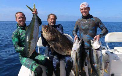 Spearfishing in Magdalena Bay