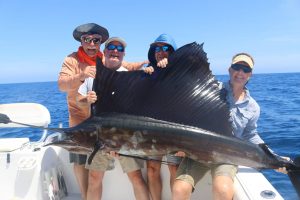 sailfish in magdalena bay