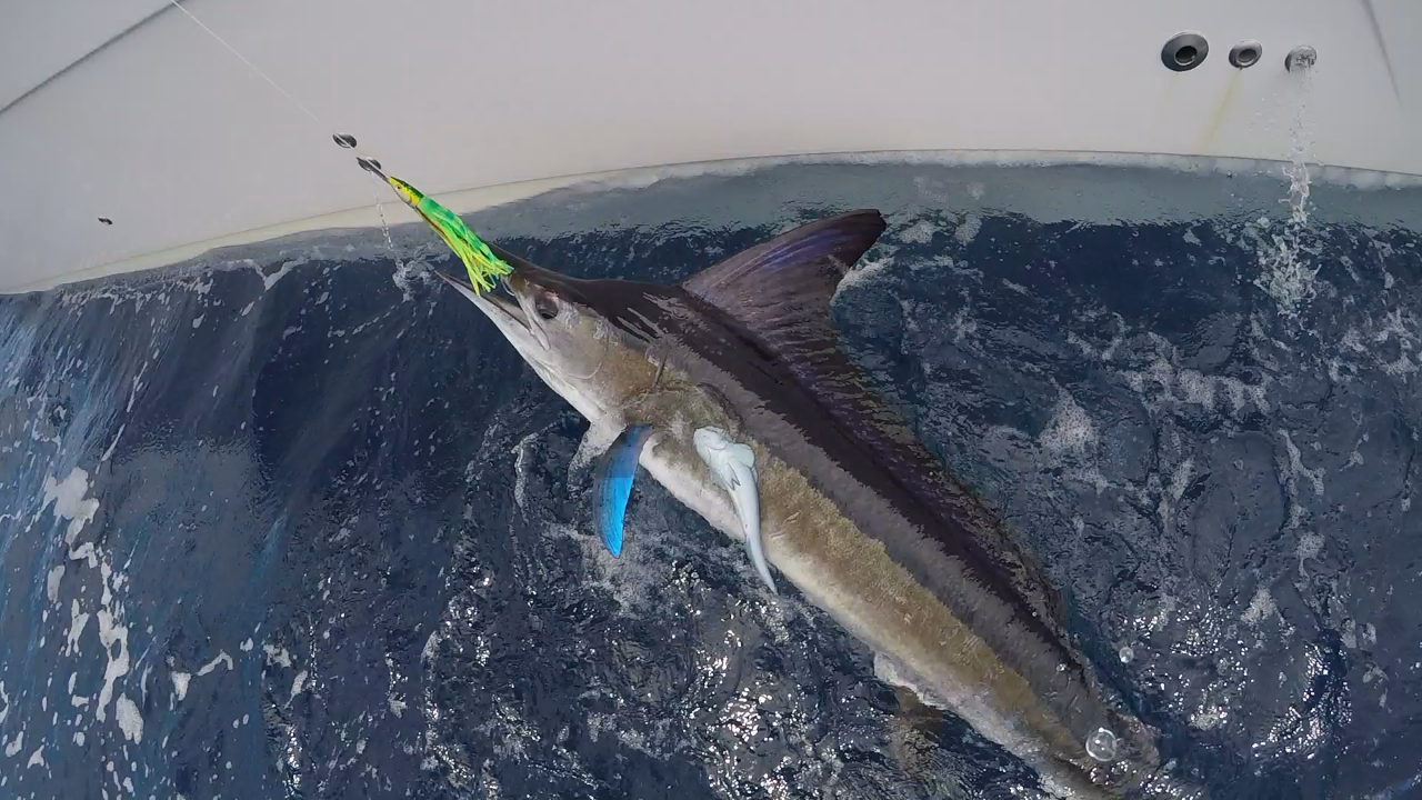 2019 MagTrak for Wahoo! 