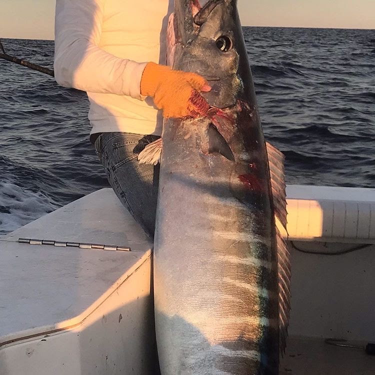 Wahoo Fishing Mag Bay