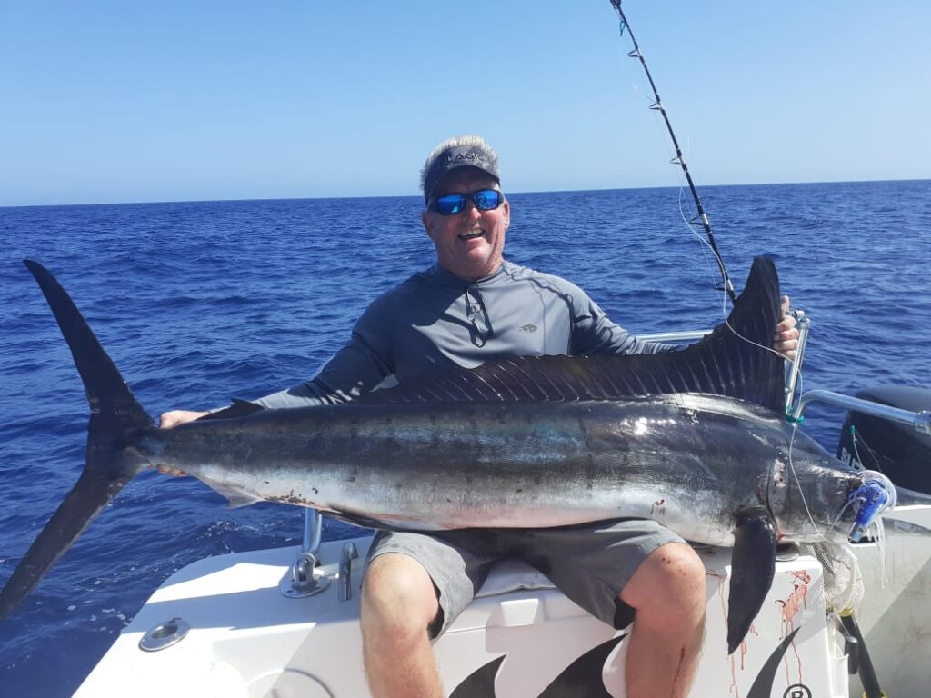 marlin in magdalena bay