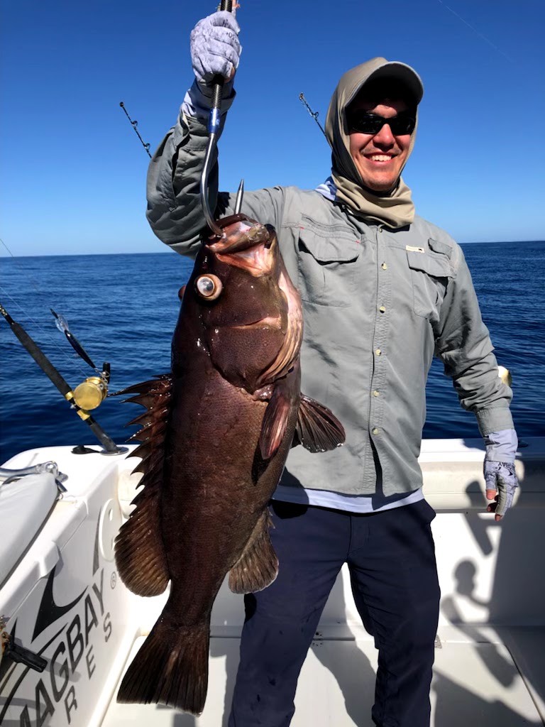 Grouper in Mag Bay